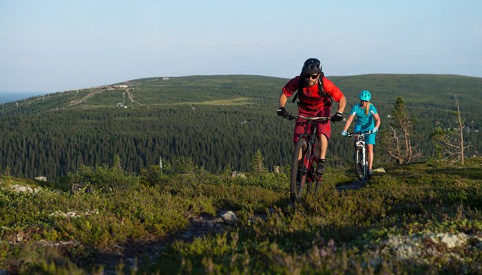Cykling Torgåsgården Dalarna