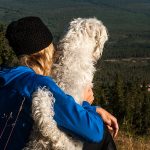 Hund på fjället
